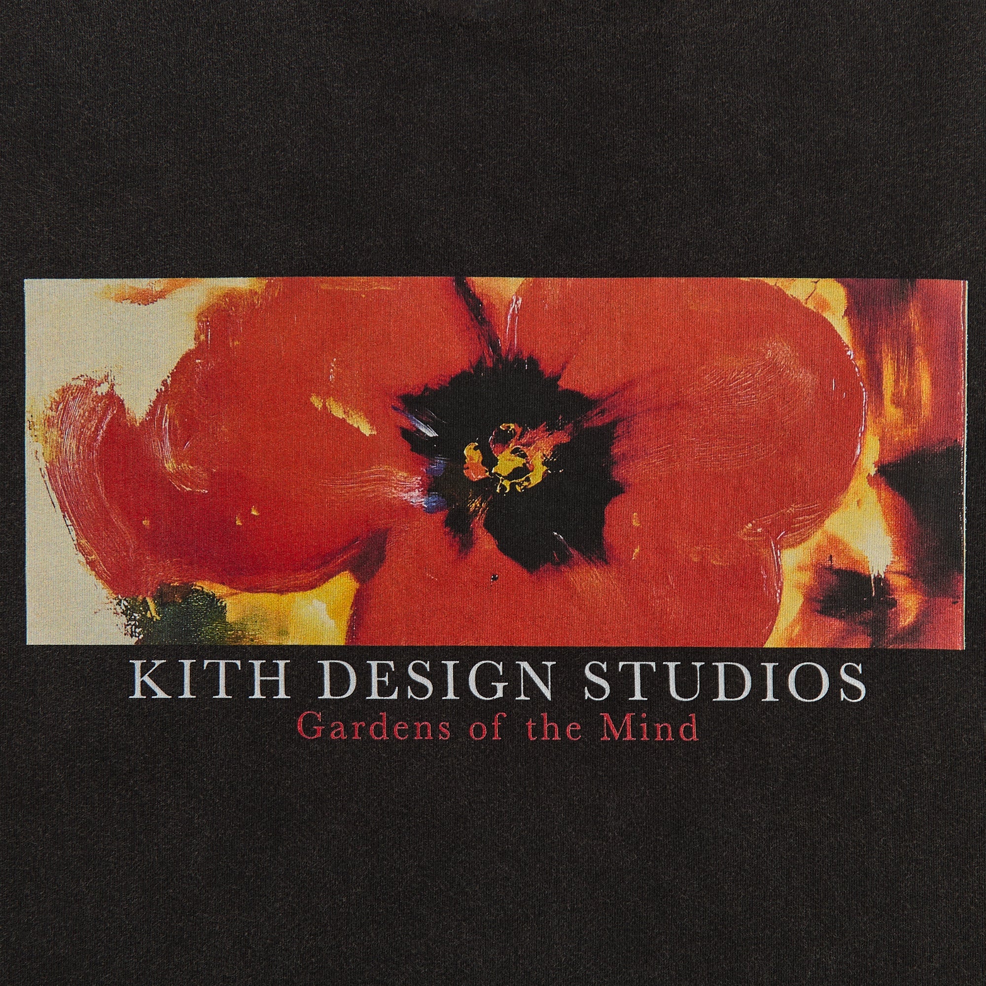 Kith Gardens of The Mind Vintage Tee - Black - Image 2