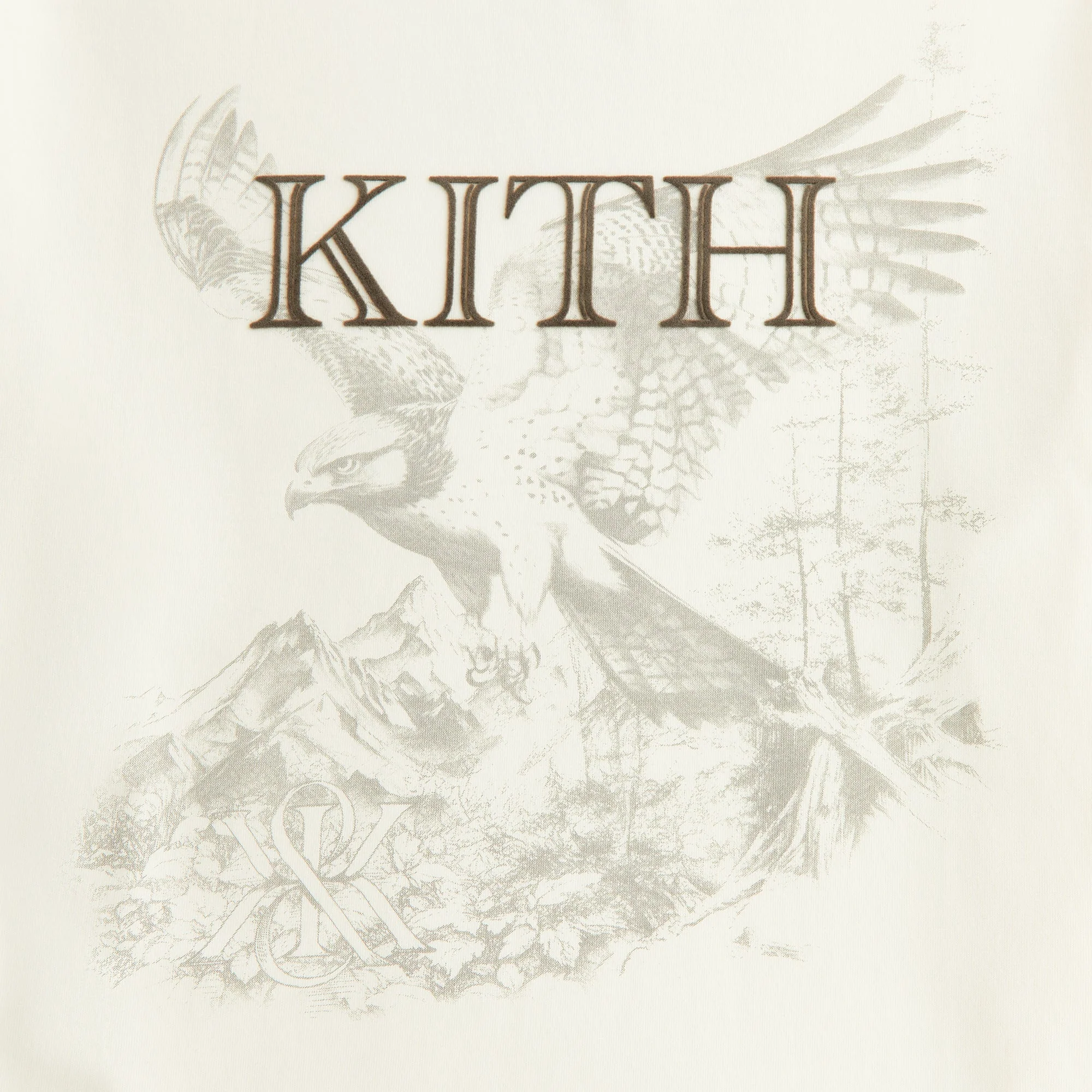 Kith Women Bird of Prey Vintage Tee - Silk - Image 3