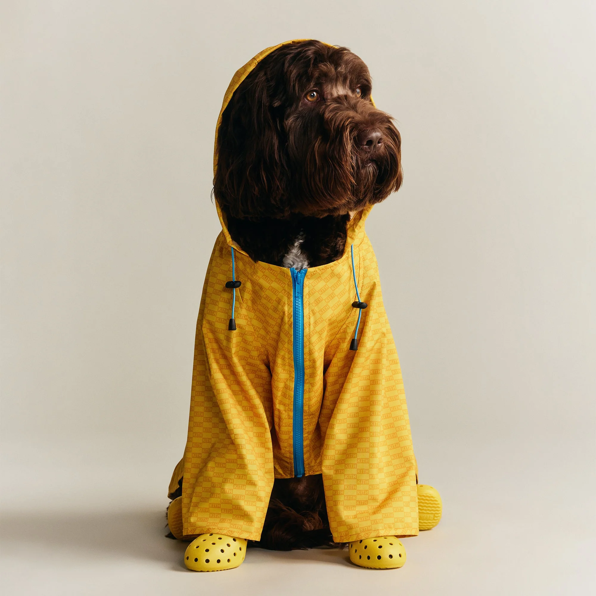 Kith for wagwear Nylon Rainbreaker - Yellow - Image 2