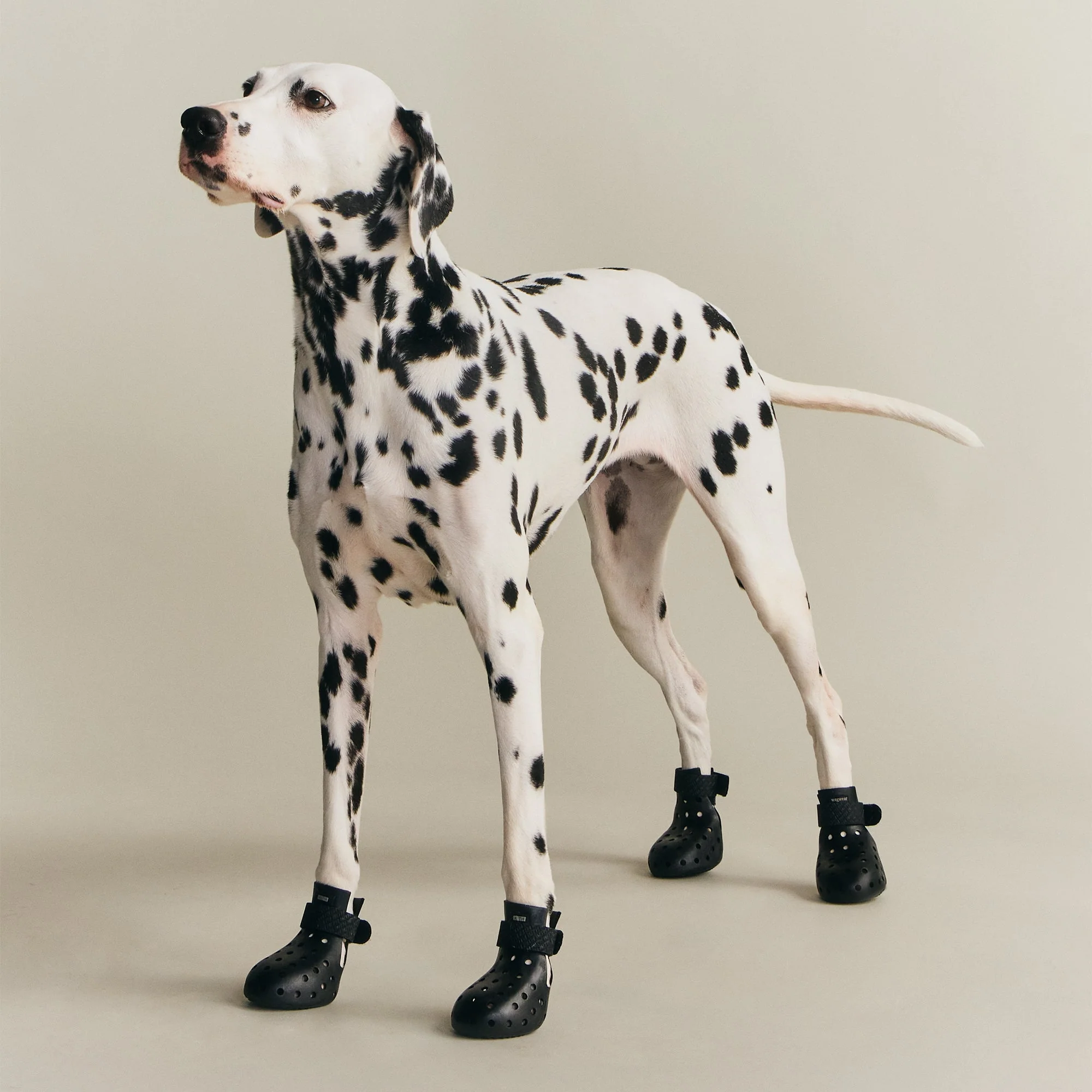 Kith for wagwear WagWellies Mojave - Black - Image 2
