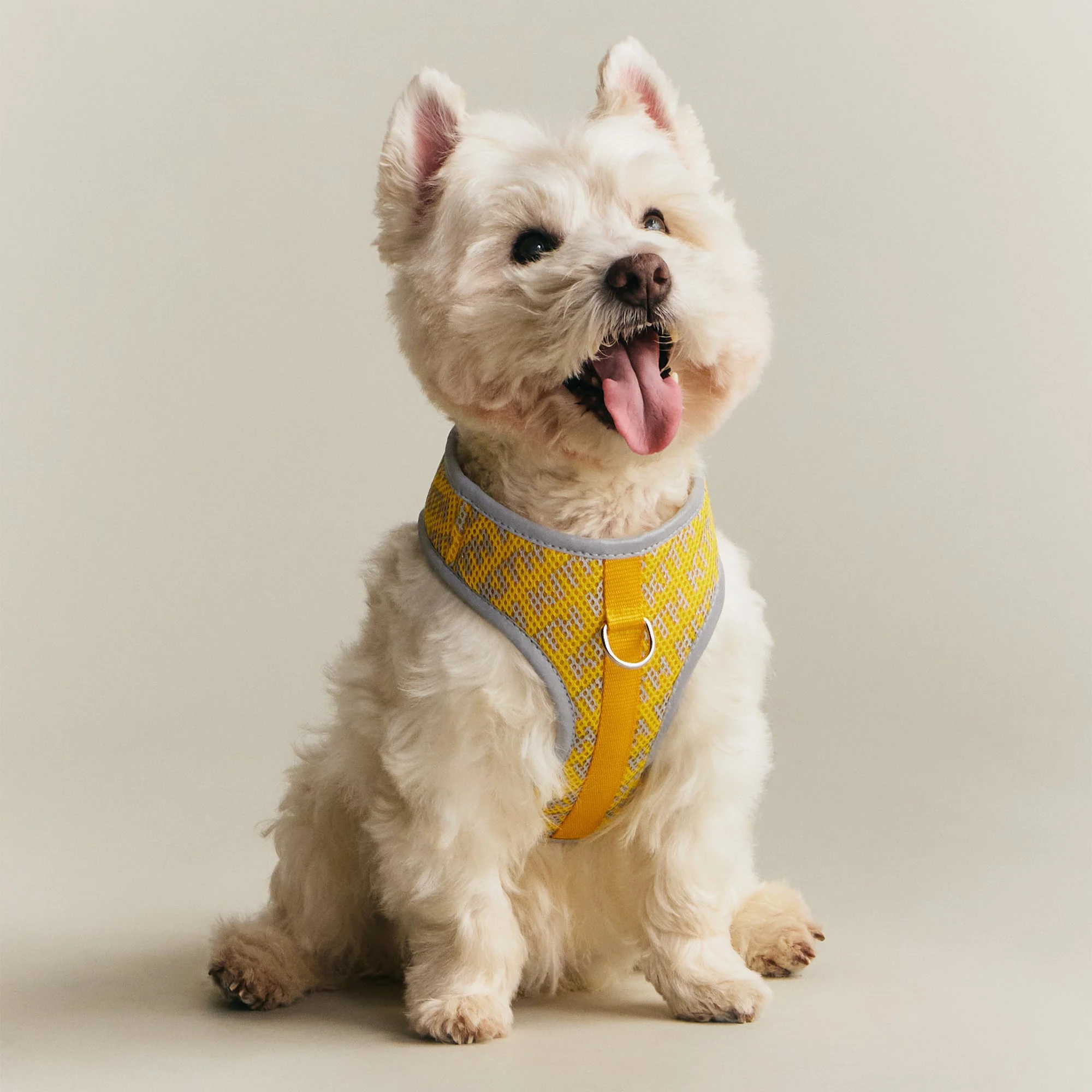 Kith for wagwear Padded Harness - Yellow - Image 2